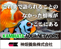 KAMIHATA AQUA NETWORK